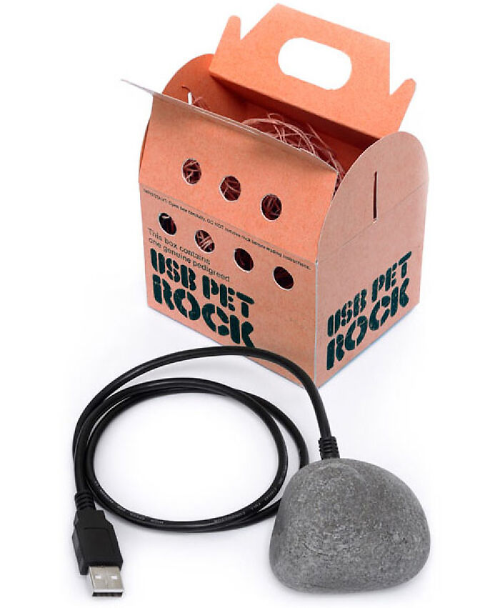 I Thought I’d Seen It All... But Nope, USB Pet Rock