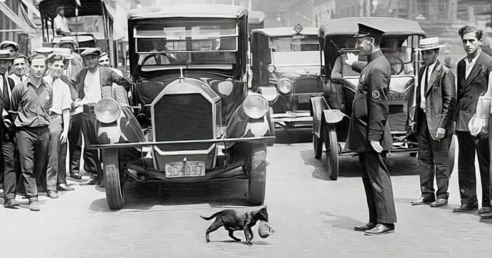 30 Vintage Photos Of Cats Posing With Famous People And Interesting Personalities (New Pics)