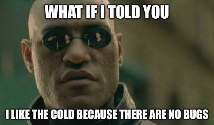 Morpheus meme: "What if I told you I like the cold because there are no bugs," highlighting weather humor.