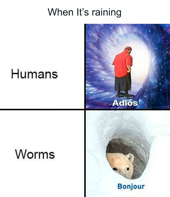 Worm and people weather meme showing humans leaving and worms emerging during rain.