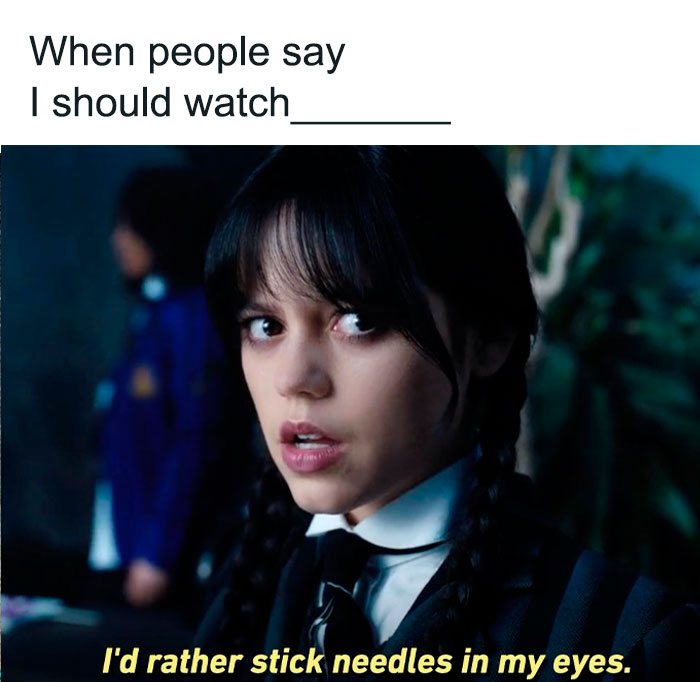 Wednesday Addams with a skeptical expression, humorous caption about watching a show, from popular Netflix series memes.