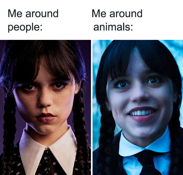 Wednesday Addams meme showing contrast between her expressions around people and animals from the Netflix series.