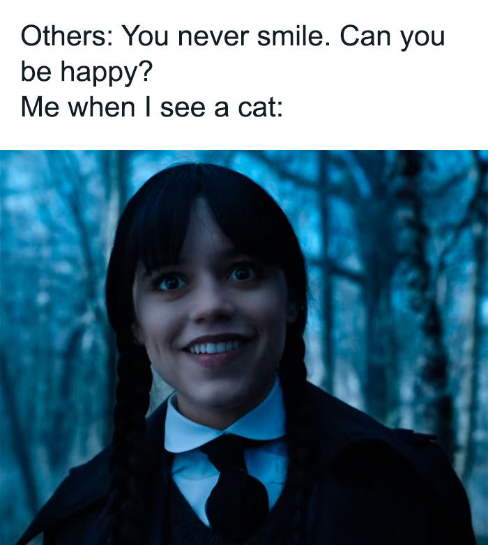 Wednesday Addams smiling in a forest, referencing a meme from the Netflix series.