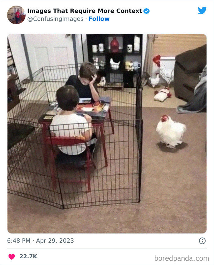 Weird-Images-Require-More-Context