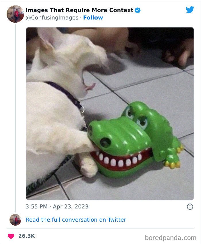 Weird-Images-Require-More-Context