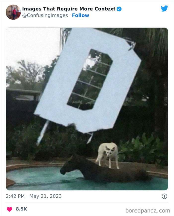 Weird-Images-Require-More-Context