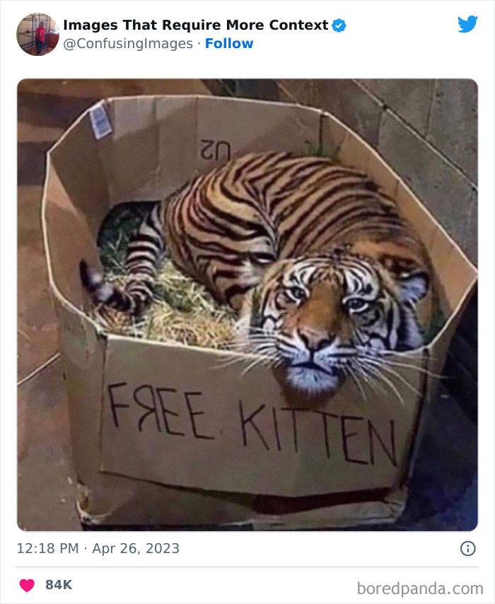 Weird-Images-Require-More-Context