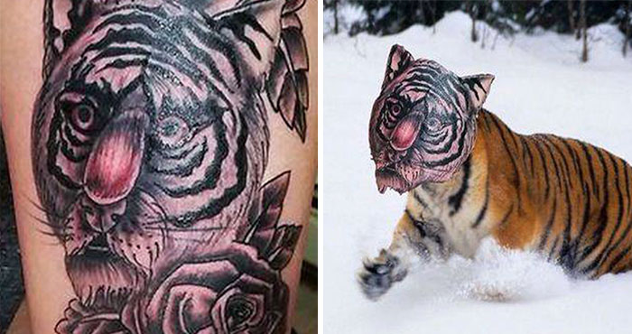 Tiger tattoo fail with distorted face next to real tiger with same mismatched features in snowy landscape.