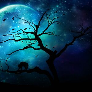 itisdarkestbeforedawn78 avatar