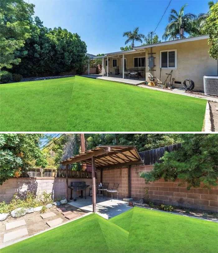 This Grass Is Lookin A Little Sus