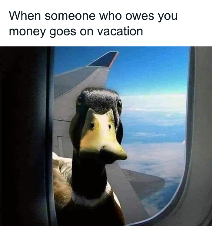 Duck looking through airplane window with caption about someone who owes money going on vacation, relatable meme from IG page.
