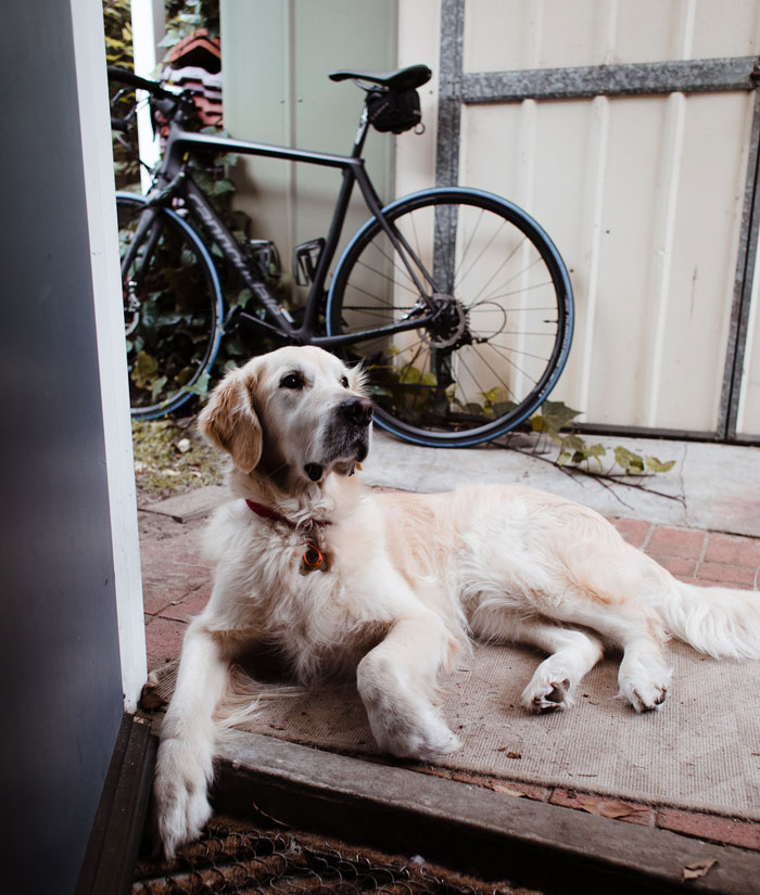 "Neighbor Doesn't Like Me Using My Own Garden"