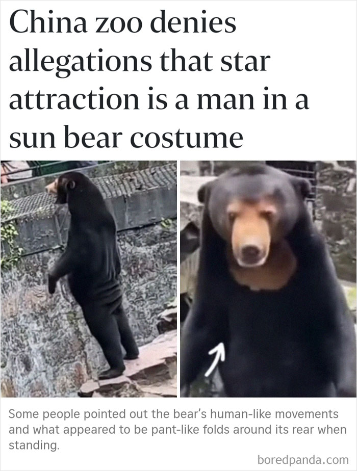 40 Posts To Welcome You Into ‘The Weird Side Of The Internet’