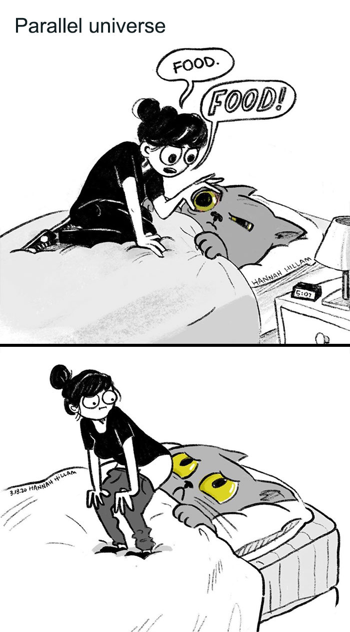 Funny-Kitty-Litterposting-Pictures