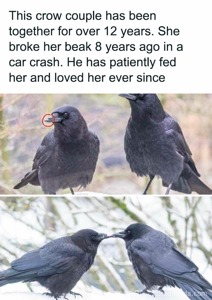 Funny-Science-Humor-Jokes