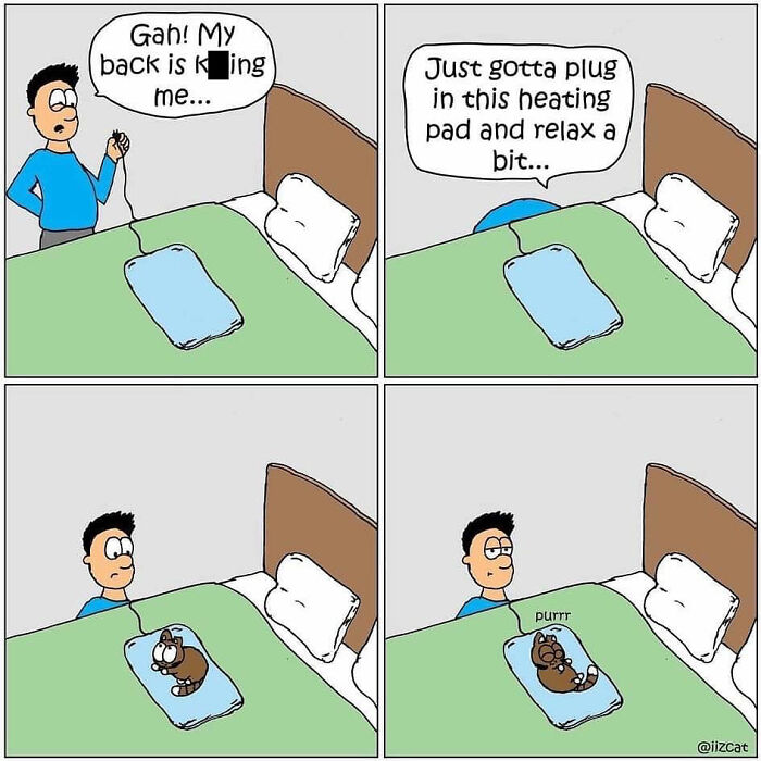 Artist’s New Hilarious Comics About Life With His Cat