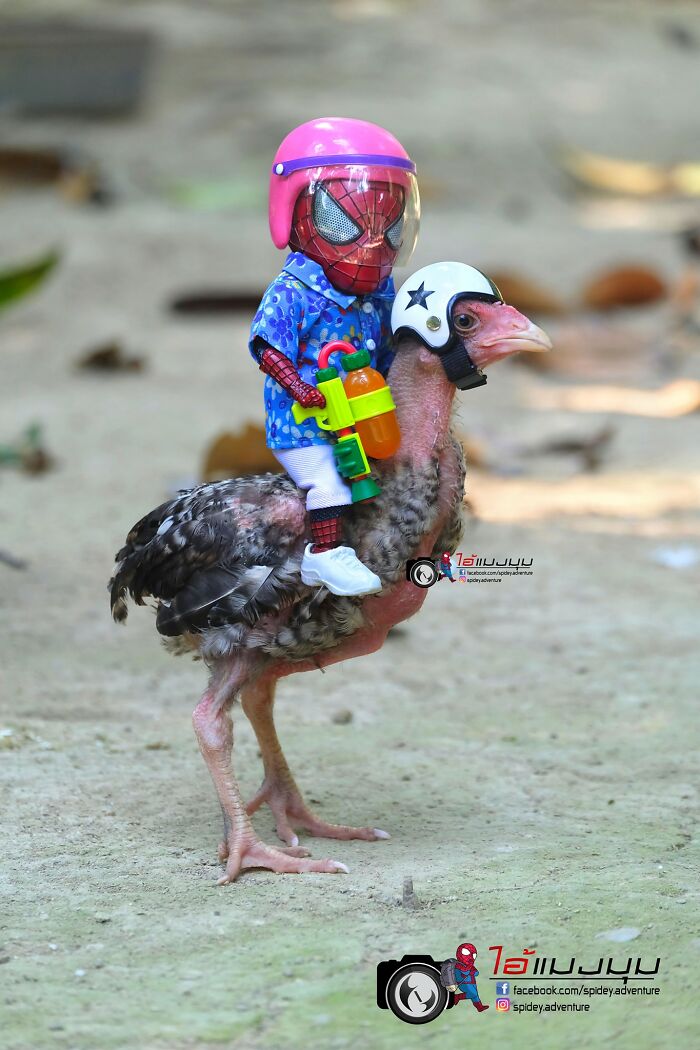 Artist Puts Baby Spider-Man And Animals In The Funniest Scenes (50 New Pics)