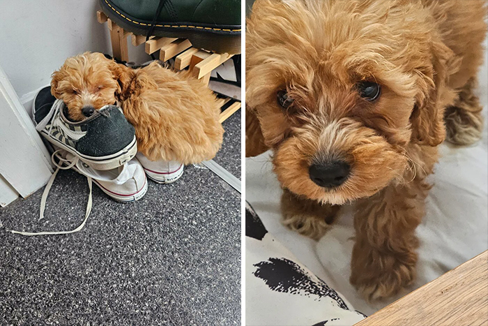 This Little Guy Needs A Name 