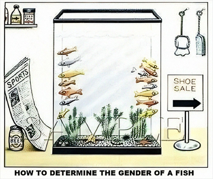 Goodnight Everyone Except The Person Who Created This