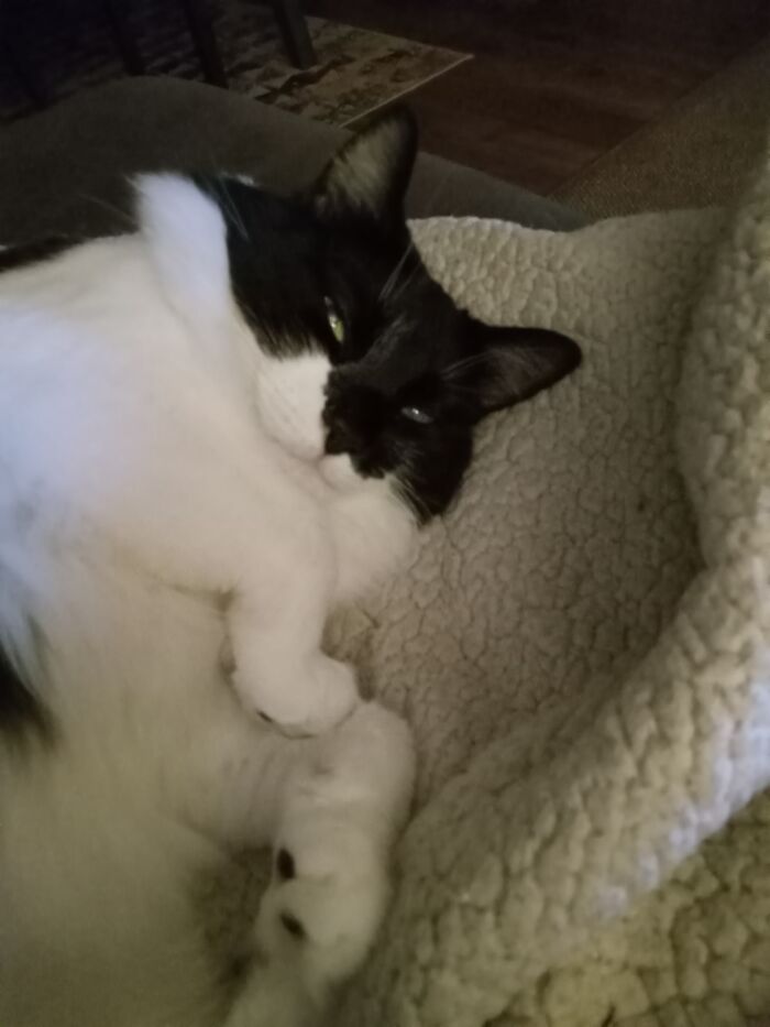 My Fancy Man, Maverick!