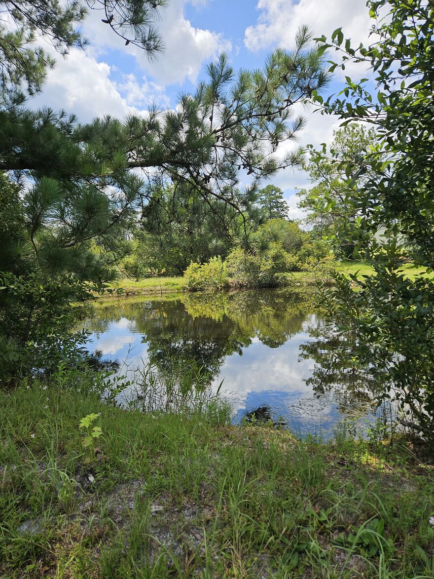 Went Up To Family Property In Georgia, And This Is Just Gorgeous