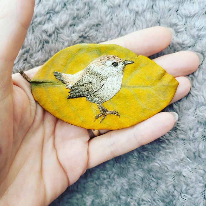 Wren On A Dried Leaf