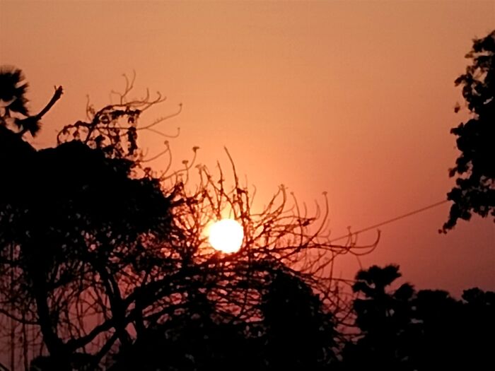 A Sunset Picture I Took This Spring