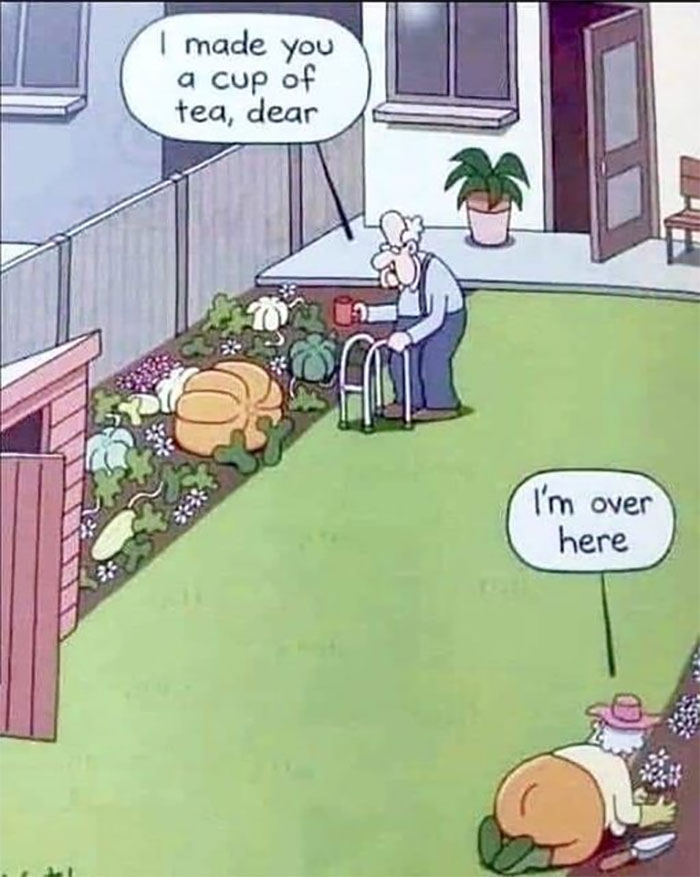 😂😂😂😂