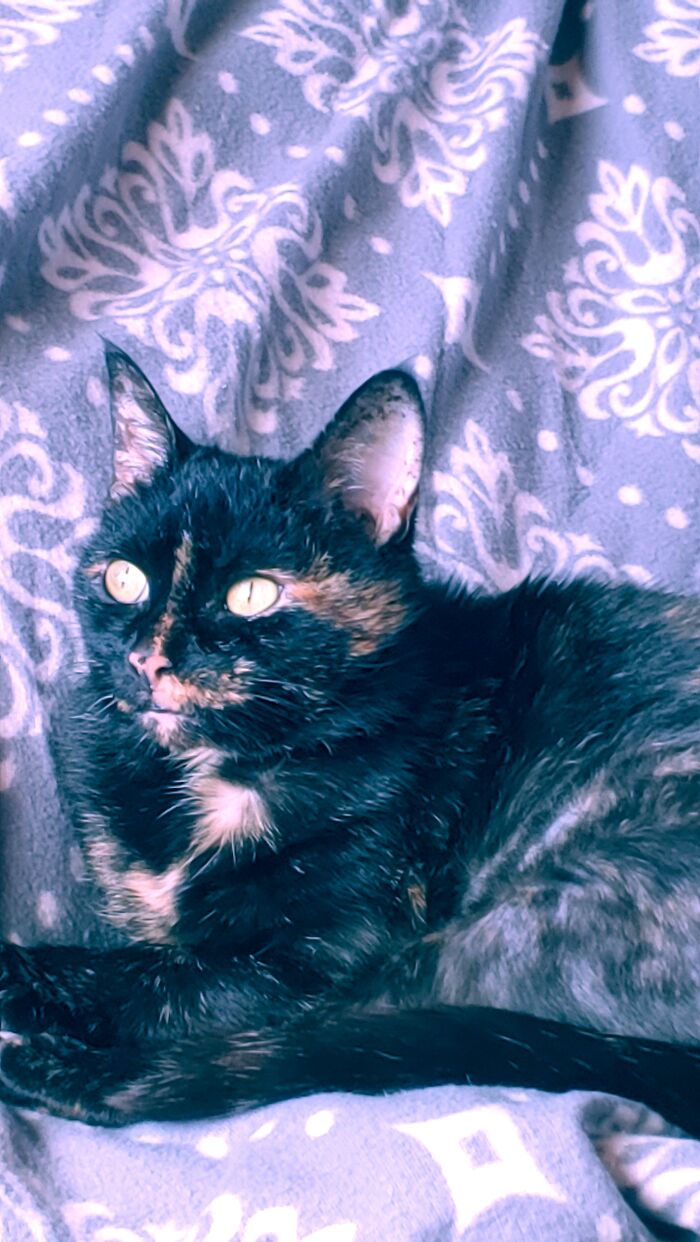 She Looks Like She's Posing While Someone Paints Her Portrait To Hang In The Palace