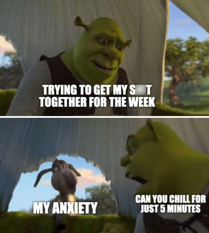 Shrek meme with hilarious text about weekly struggles and anxiety.