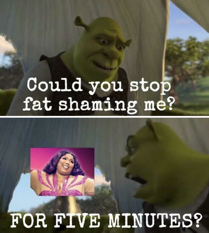Shrek meme with text "Could you stop fat shaming me? FOR FIVE MINUTES?" featuring a humorous image insert.