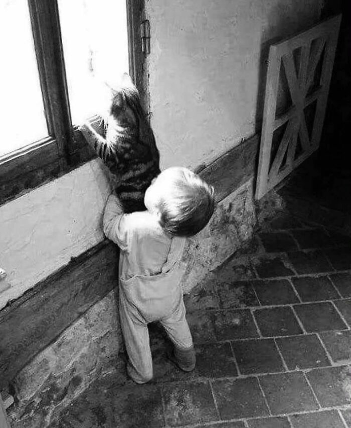 I Collected The Best Cat Photographs From This Street Photographers Account (47 Pics)