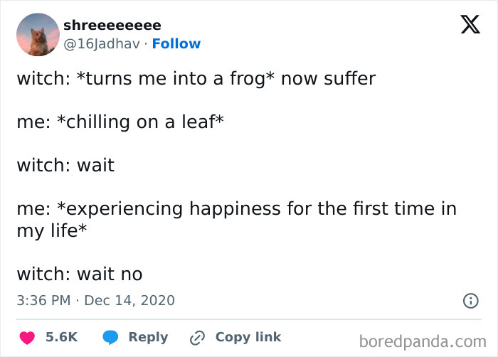 Funny pic of a dialogue between a witch and a transformed frog enjoying life, highlighting unexpected happiness.