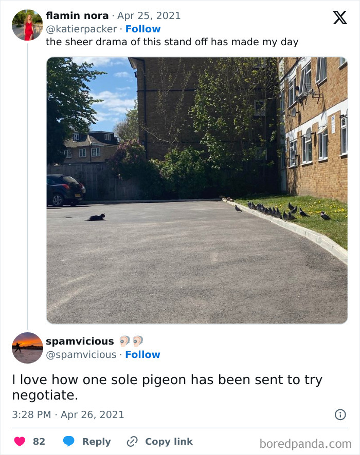 Funny-Kitty-Litterposting-Pictures