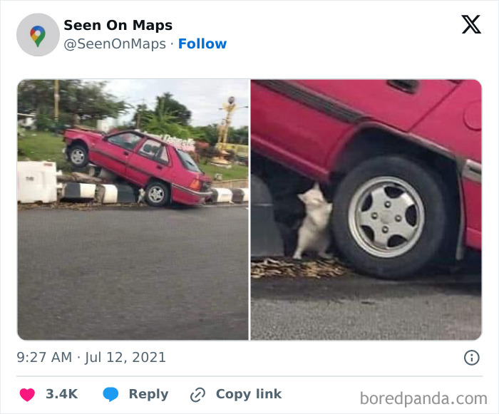 40 Of The Silliest Things That Were Ever Captured On The Streets