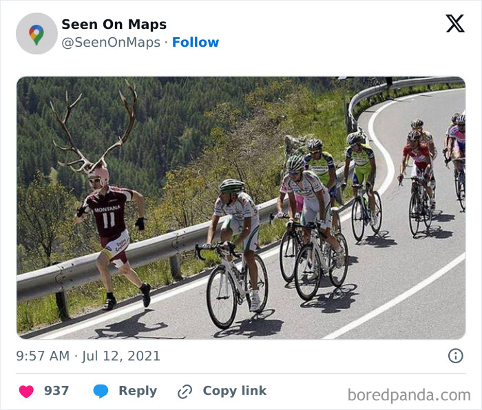 40 Of The Silliest Things That Were Ever Captured On The Streets