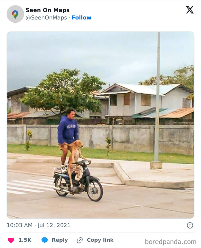 Funny-Things-Seen-On-Google-Maps