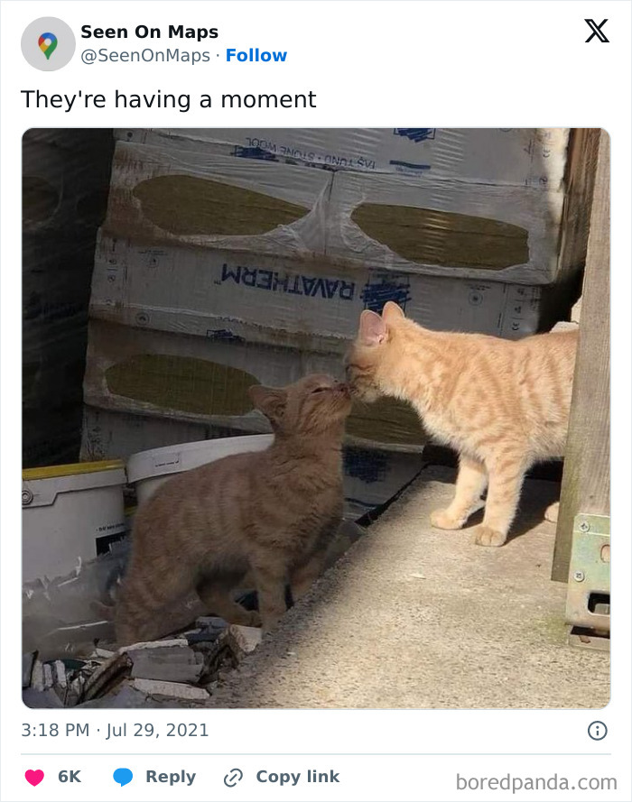 Funny-Things-Seen-On-Google-Maps