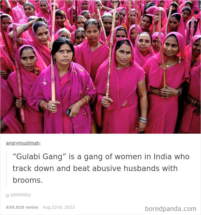 The System Of The Broom