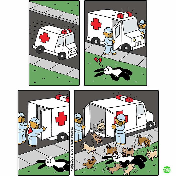 23 Comics Where Doctor Bears Will Make Your Day Better