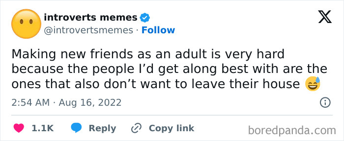 Friendship meme from Introverts Memes about the challenges of making friends as an adult who prefers staying home.