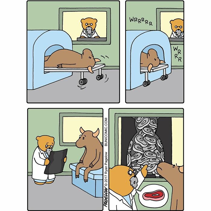 23 Comics Where Doctor Bears Will Make Your Day Better