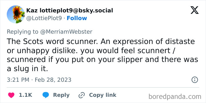 Words-From-Other-Languages-No-Direct-English-Translation