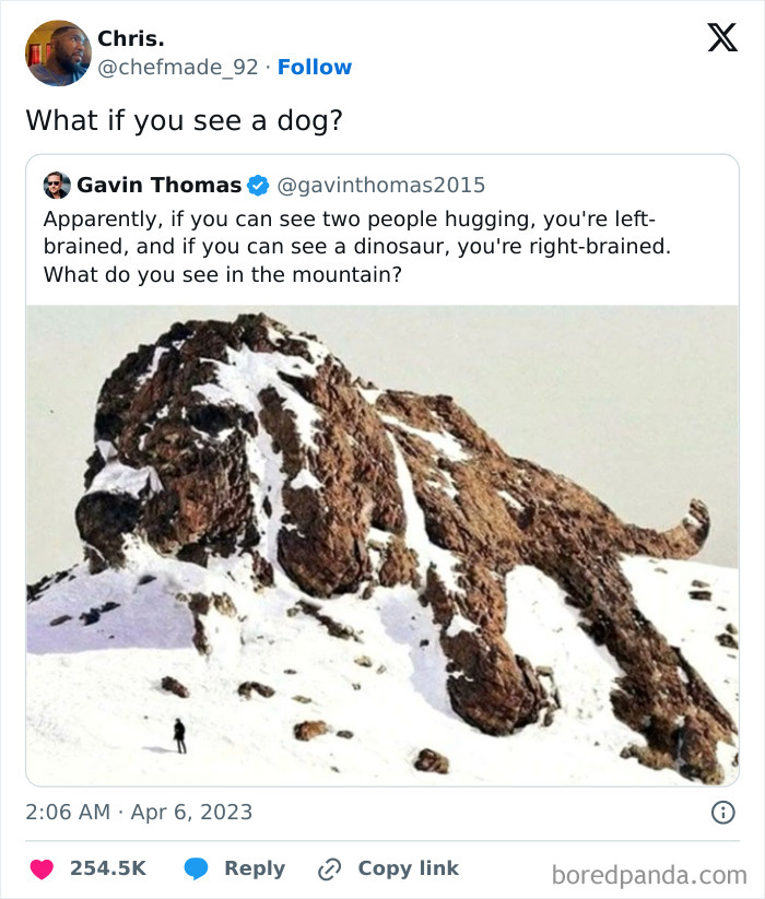 Tweet showing a mountain shaped like a dog with snow patches, featured in 44 hilariously relatable memes on an IG page.
