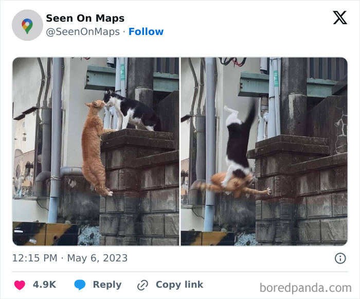 40 Of The Silliest Things That Were Ever Captured On The Streets