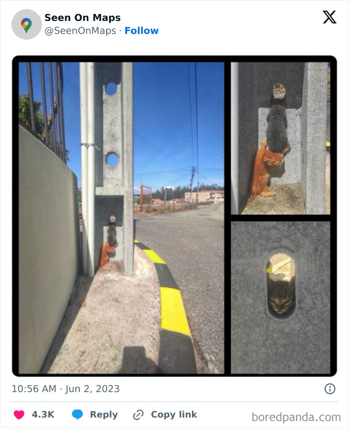 40 Of The Silliest Things That Were Ever Captured On The Streets