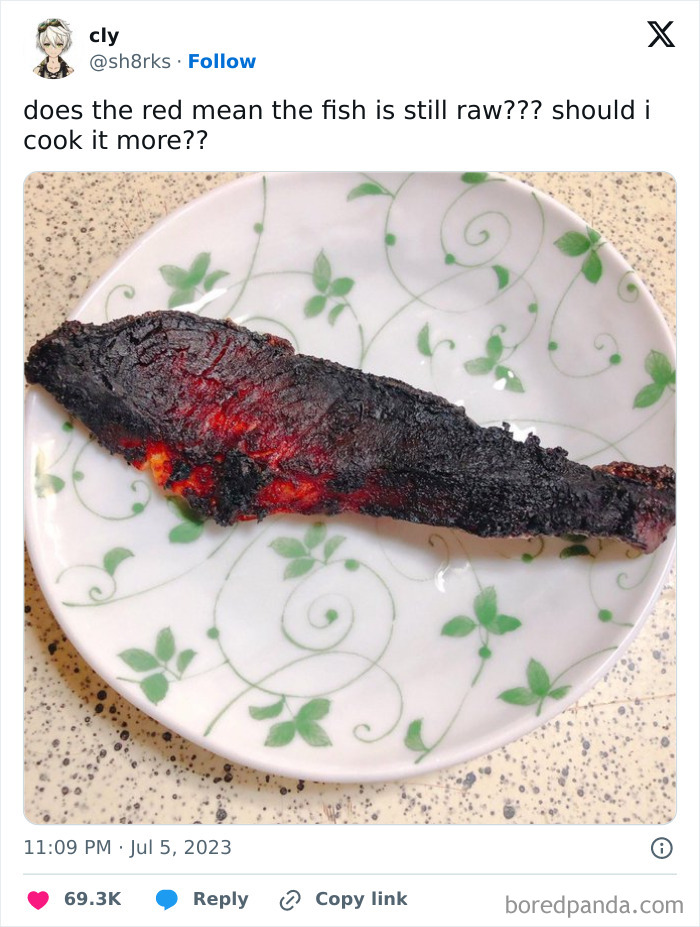 Burnt fish on a white plate with green leaf patterns, featured in hilariously relatable memes from an IG page.