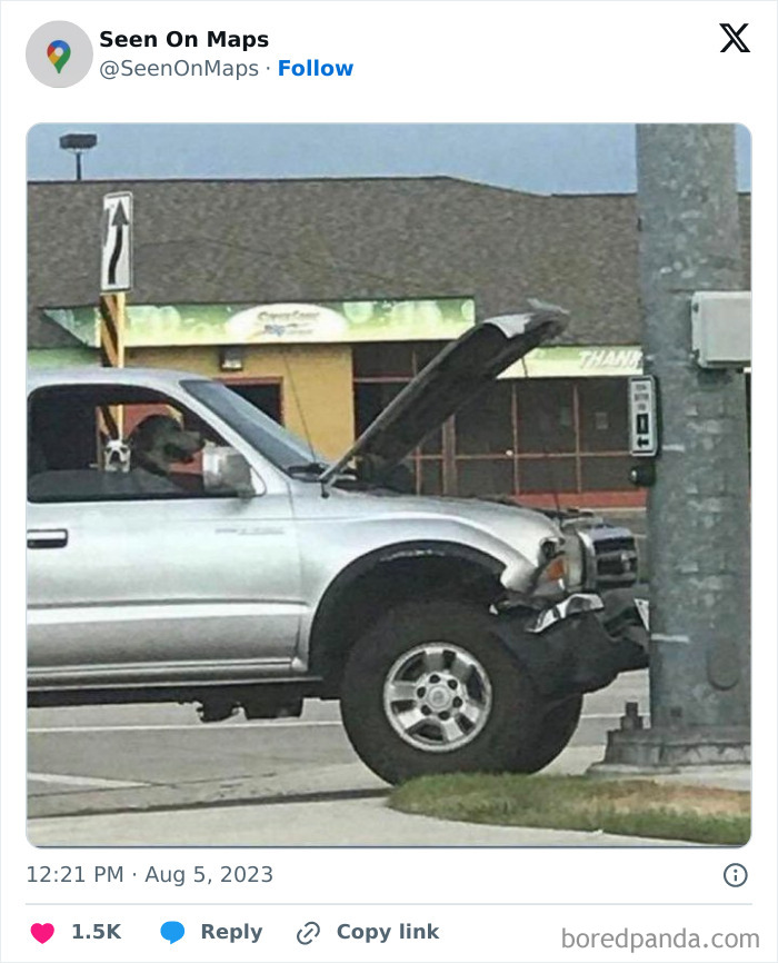 40 Of The Silliest Things That Were Ever Captured On The Streets