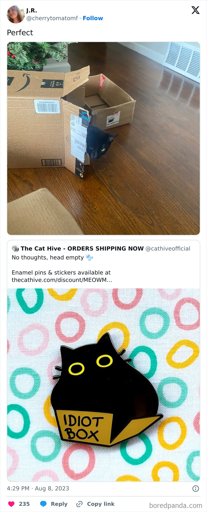 Silly-Cats-Catbraincell