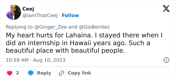 Maui Is Devastated After 'Apocalyptic' Wildfire Hits Hawaii (Updated)